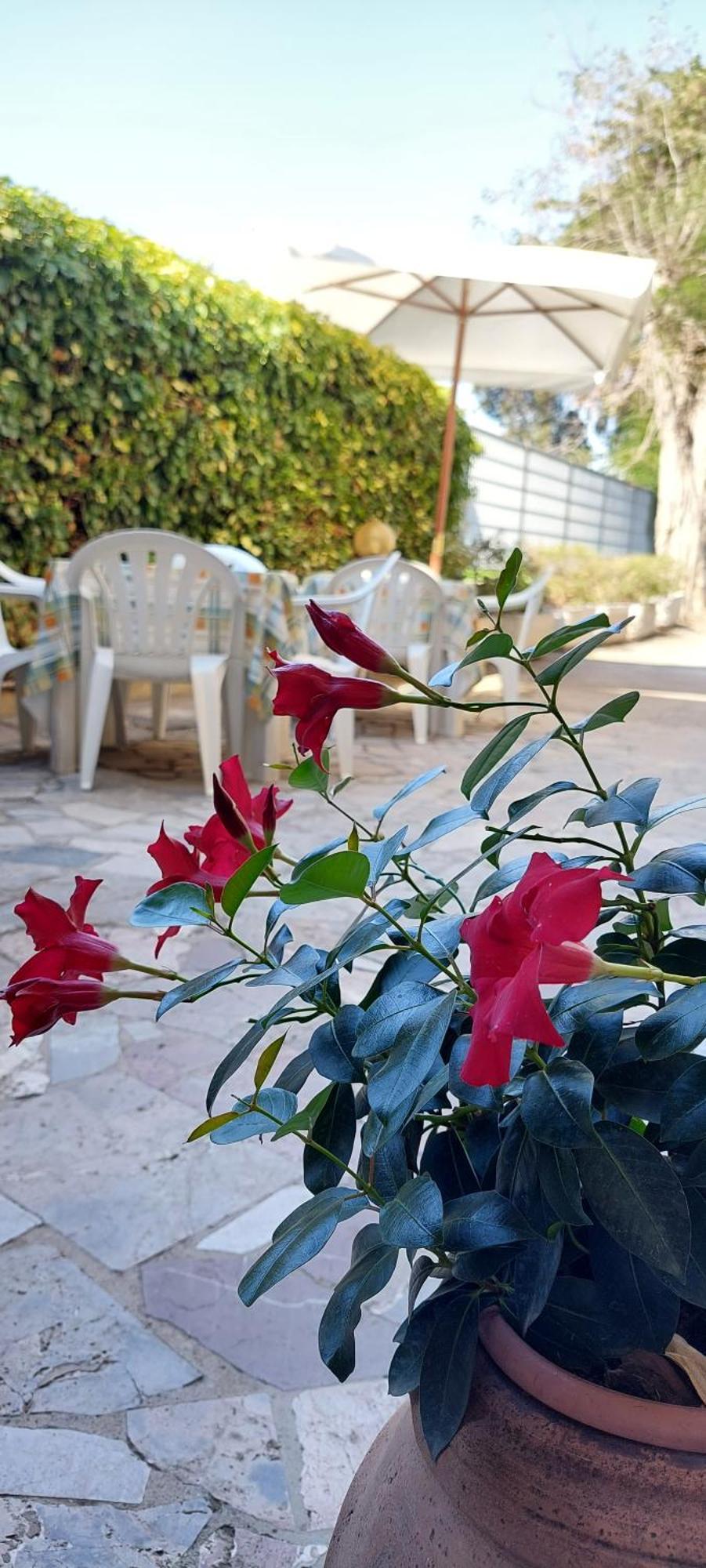 Hotel Lea Grosseto Exterior foto